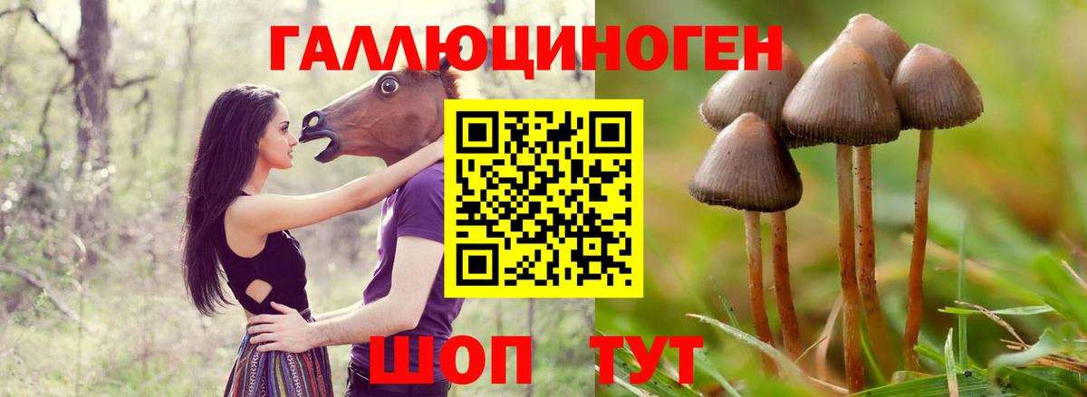 Псилоцибиновые грибы Magic Shrooms  Вход с VPN  Галлюциногенные грибы мухоморы  Губкин 